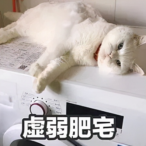 肾虚体寒喝什么,肾虚体寒需要治疗吗