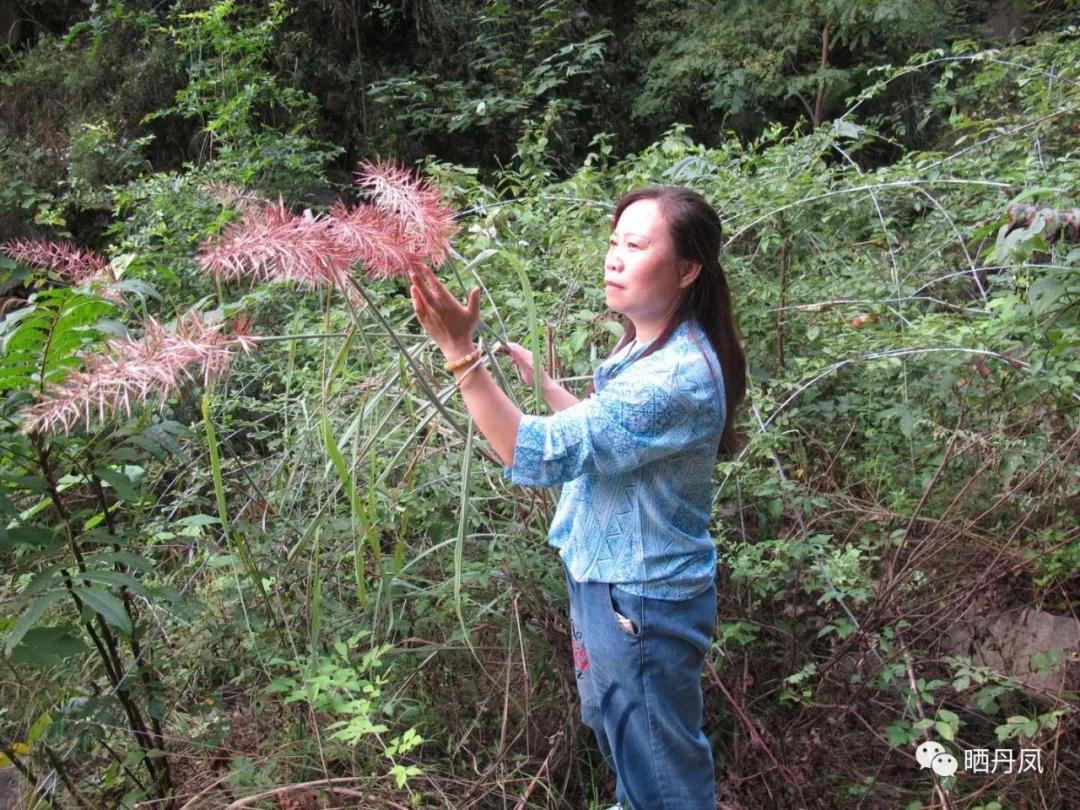 柯玲：琵琶沟，我的老家