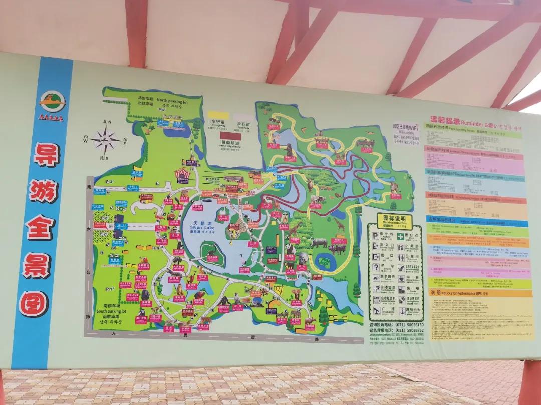 上海野生动物园旅游攻略路线推荐,上海野生动物园旅游攻略50字