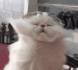 x战警每一部都讲的啥,x战警有几个团队