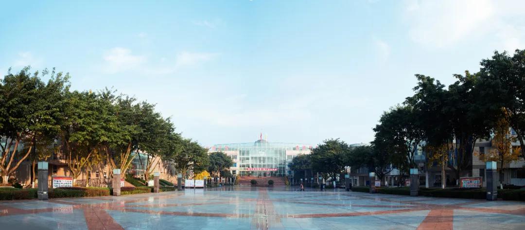 我把德阳市的校园春天寄给你