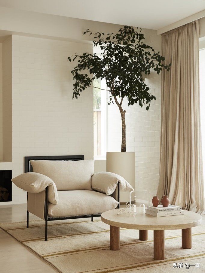 网红庭院植物搭配,网红绿植搭配技巧