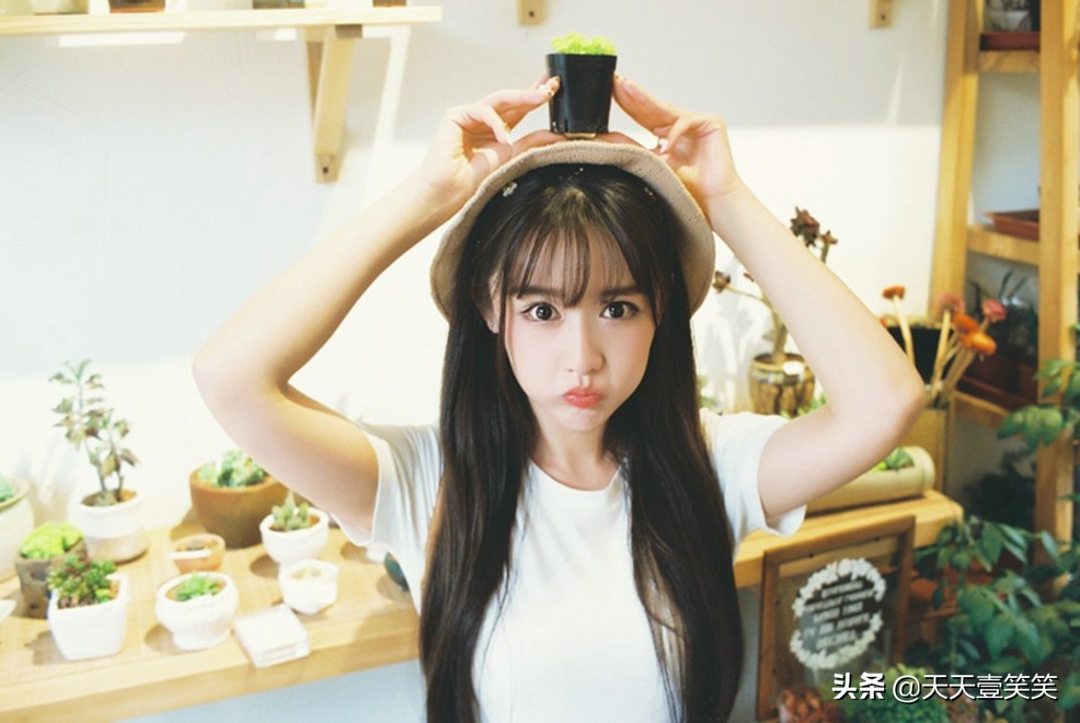 冷笑话茶叶蛋,茶叶蛋冷笑话幽默