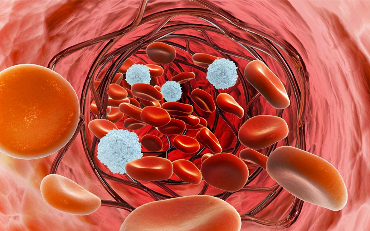 过敏性紫癜属于风湿免疫性疾病吗,过敏性紫癜肾炎是自限性疾病吗