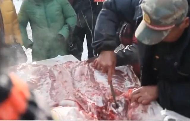 过了腊八就是年,看看东北如何杀年猪吃美食过大年?最浓厚的年味