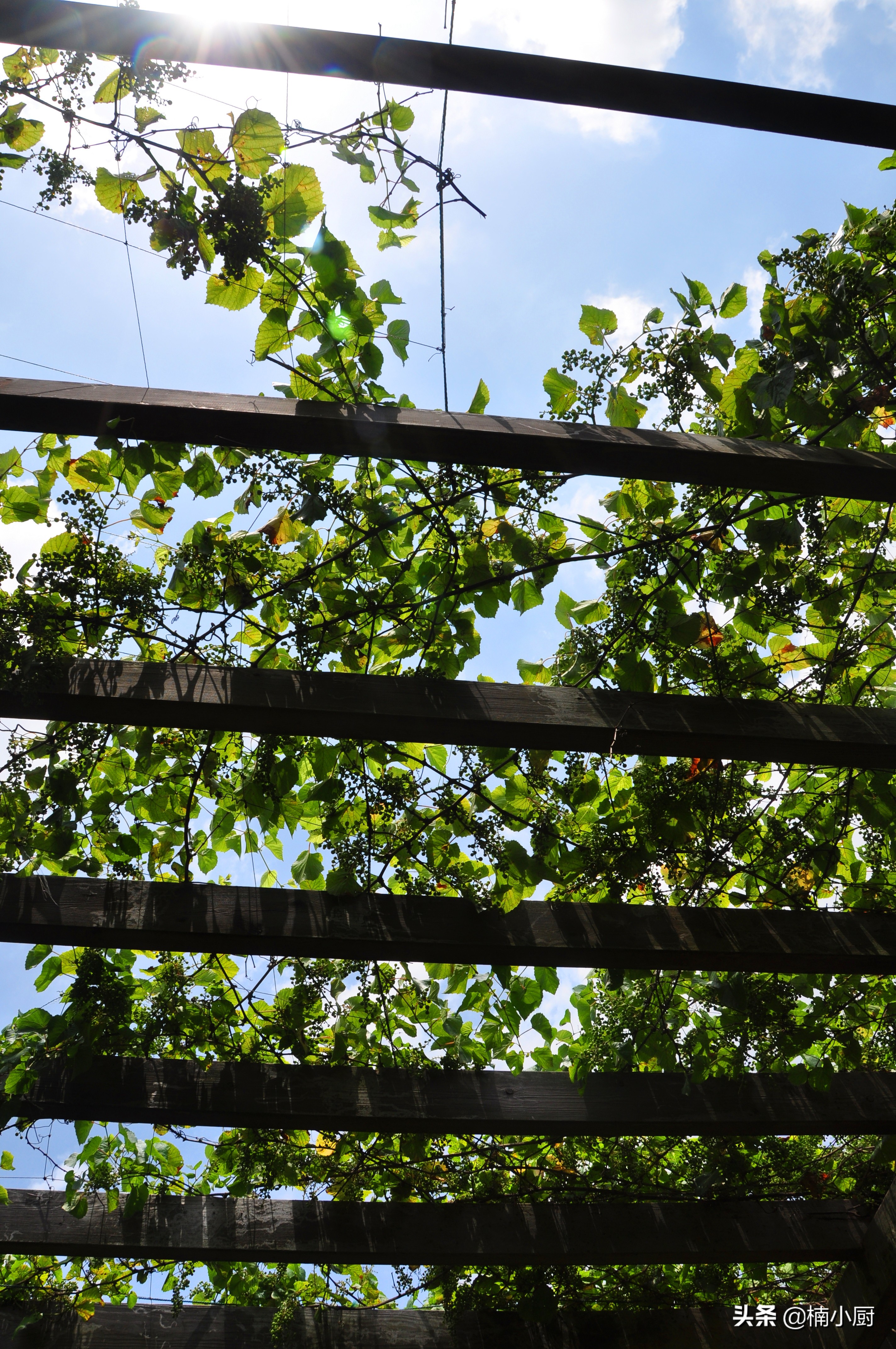 宁波旅游东钱湖,旅行宁波