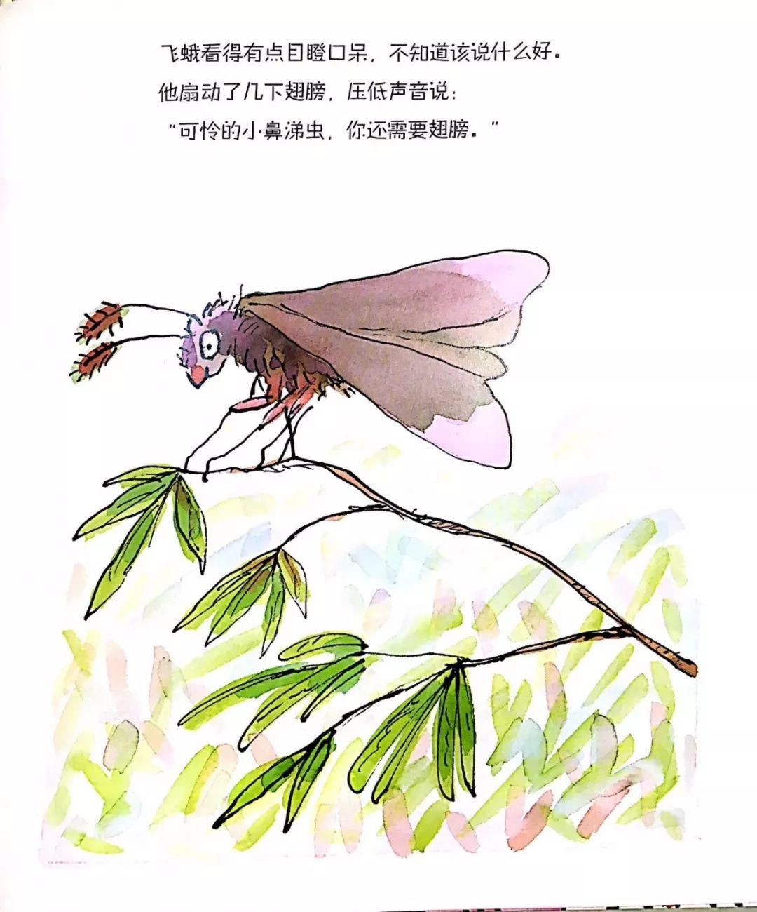 鼻涕虫想要一个拥抱绘本读后感,鼻涕虫绘本故事