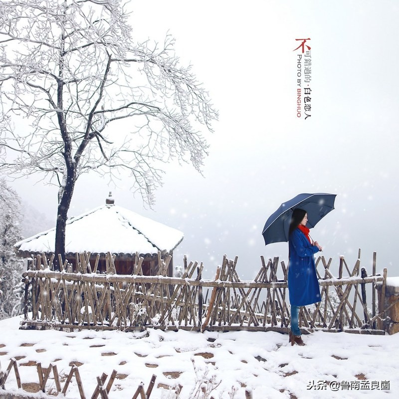 冰天雪地寒梅傲雪,初冬踏雪去寻梅