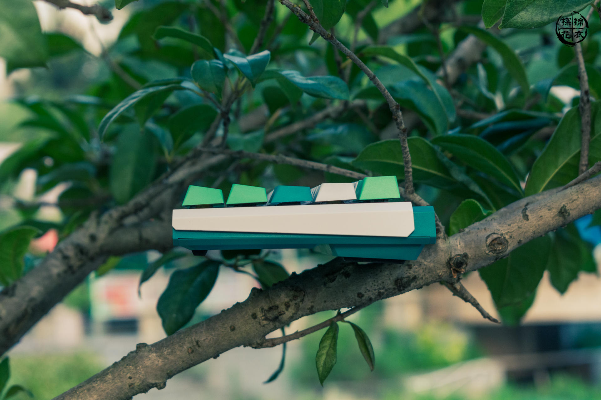 杜伽k320w机械键盘评测,杜伽k330w无线键盘