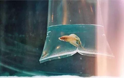 适合做性格签名的句子,个性签名八字语句