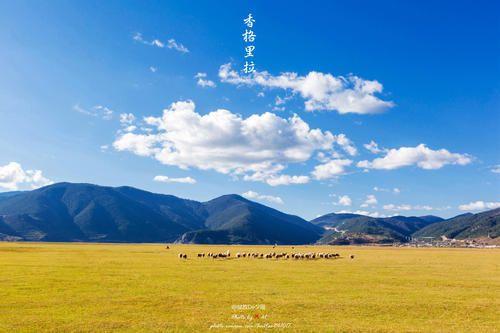 这么全的中国地理合集！看到你就是赚到了！