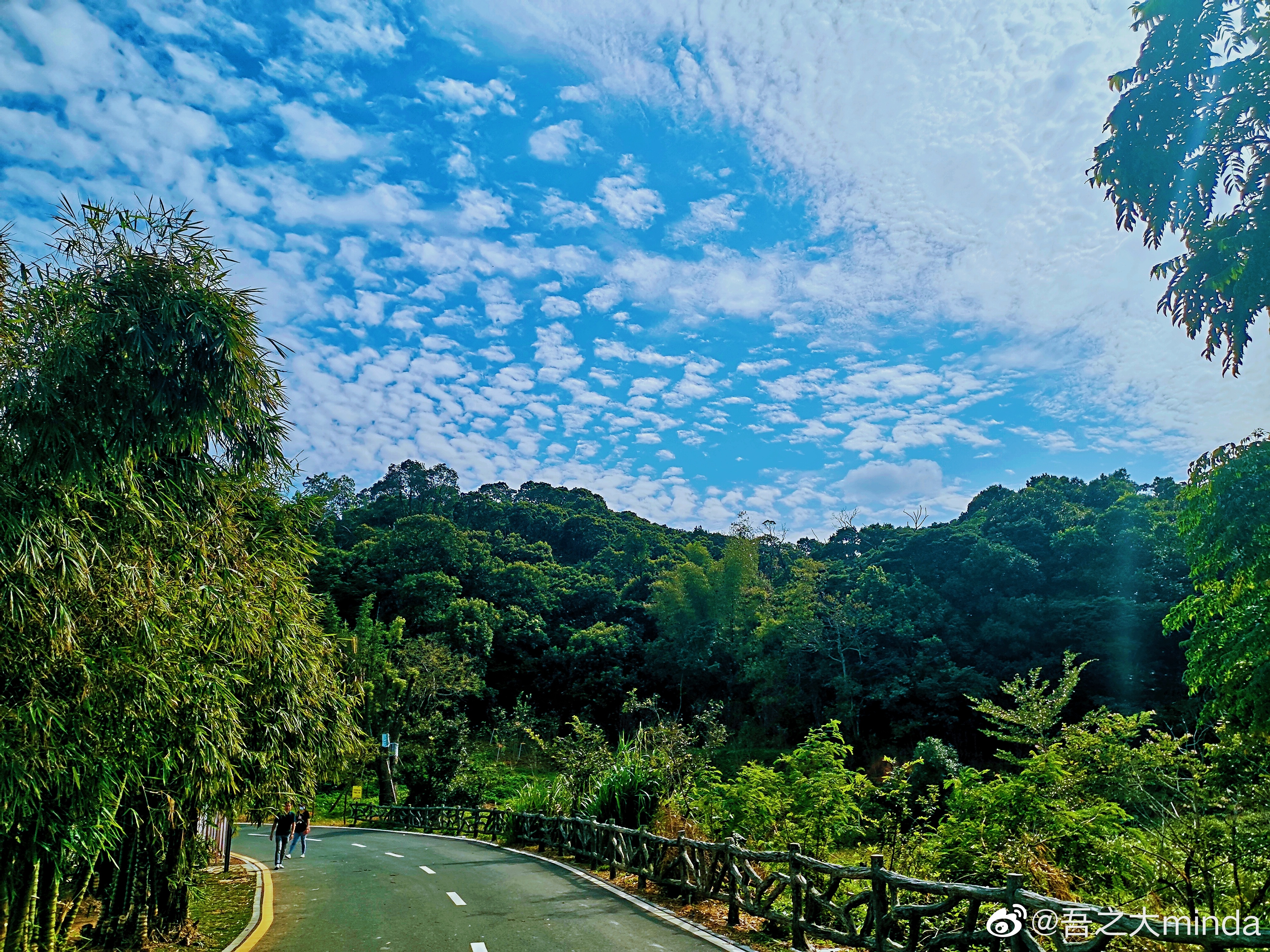 梧桐山下幽径,梧桐山下清风明月