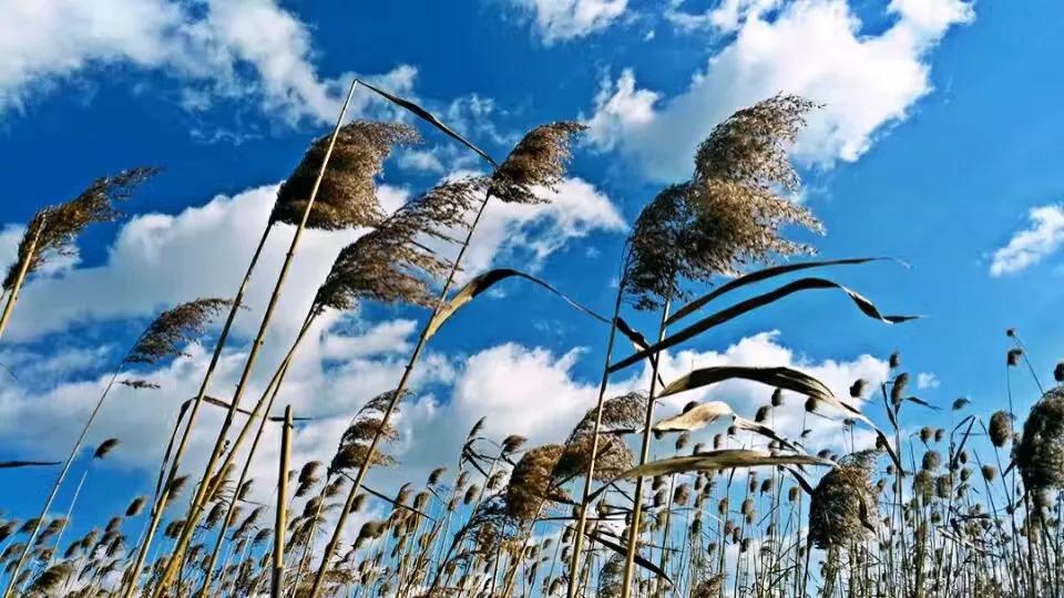 山东荣成定居好不好,外地人荣成落户条件