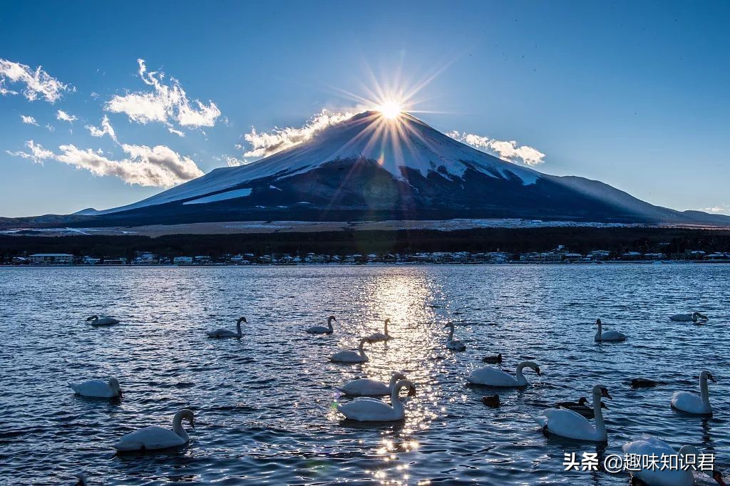 每日更新科普各种奇妙冷知识,小知识科普冷知识