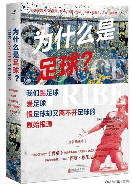 足球比赛为什么要点球大战,足球比赛为什么要打架