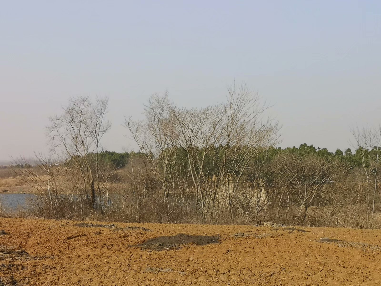 摩托附近风景,摩托打卡地附近
