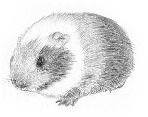 几何体素描静物步骤及画法,几何体结构素描教学步骤