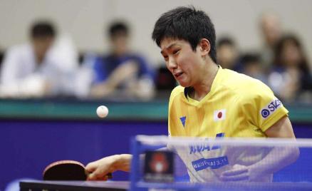 张本智和惨败出局卡塔尔,张本智和赢了谁进决赛