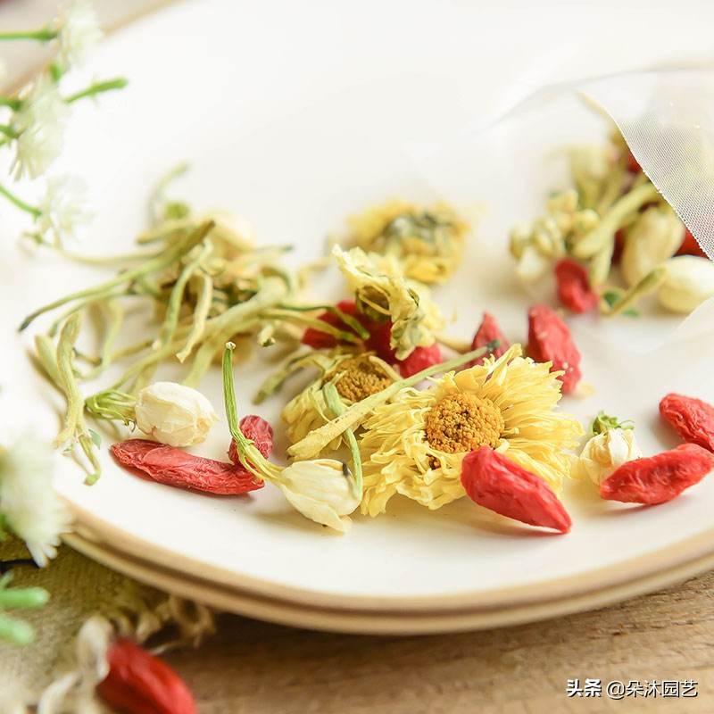 什么花清热去火最快,春天里的这种花清热解毒有奇效