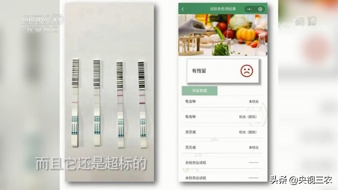 有机食品与健康知识,有机食品纯天然食品讲解