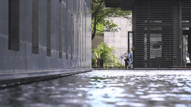 遇间播报|三亚太阳湾柏悦酒店隐奢国牌在此诞生！有惊喜