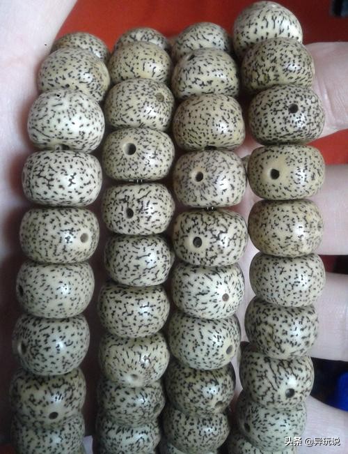 星月菩提十二大禁忌,新手星月菩提适合买多大的