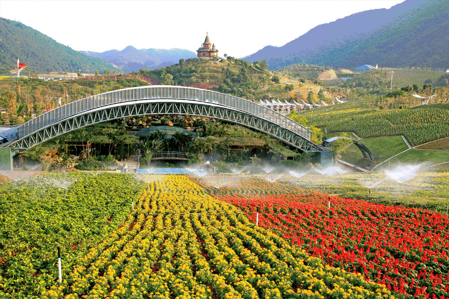 中秋去哪？住深圳东部华侨城+早餐无限次茶溪大侠谷+华兴寺仅1188