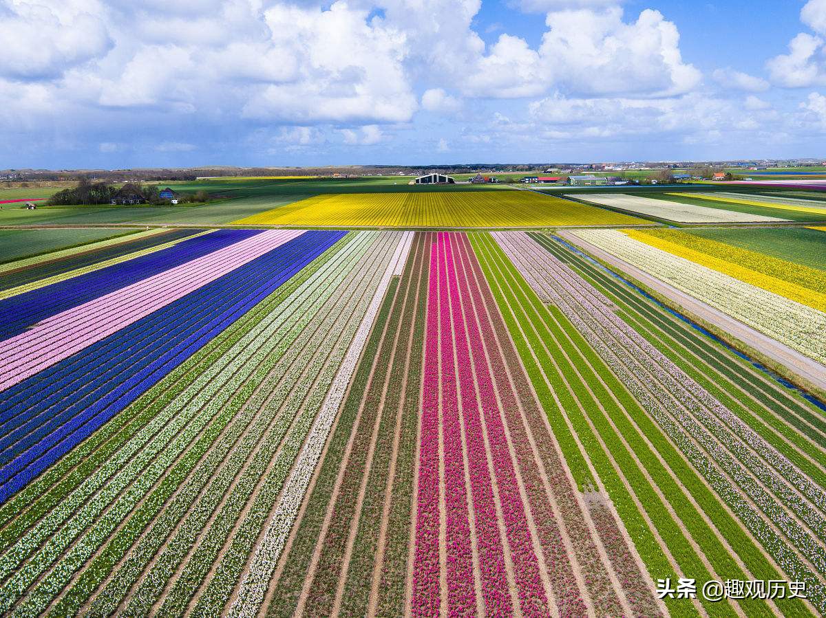 荷兰和英国的战争荷兰为什么会赢,三次英荷大战的直接原因