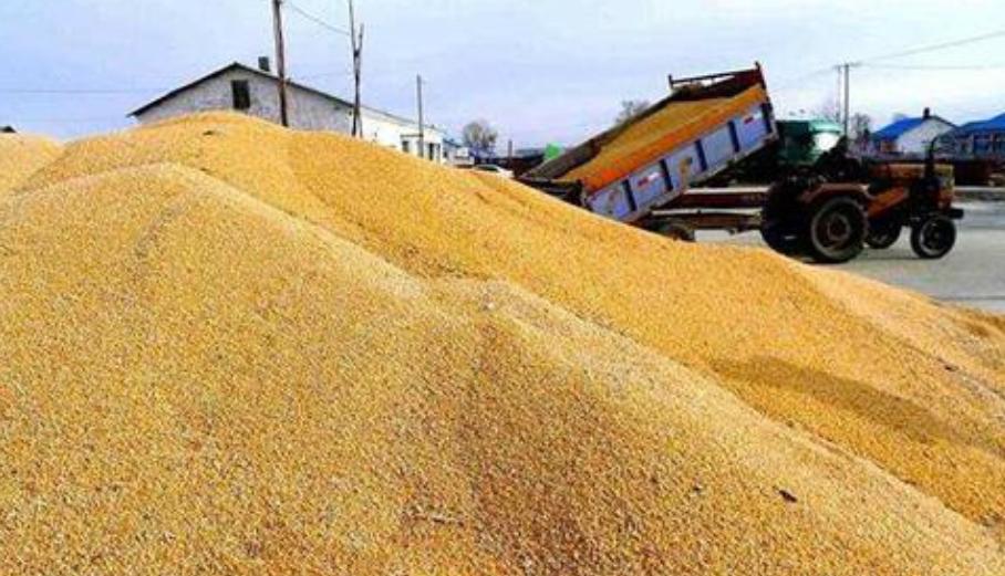 四大粮油巨头,世界粮油四大巨头