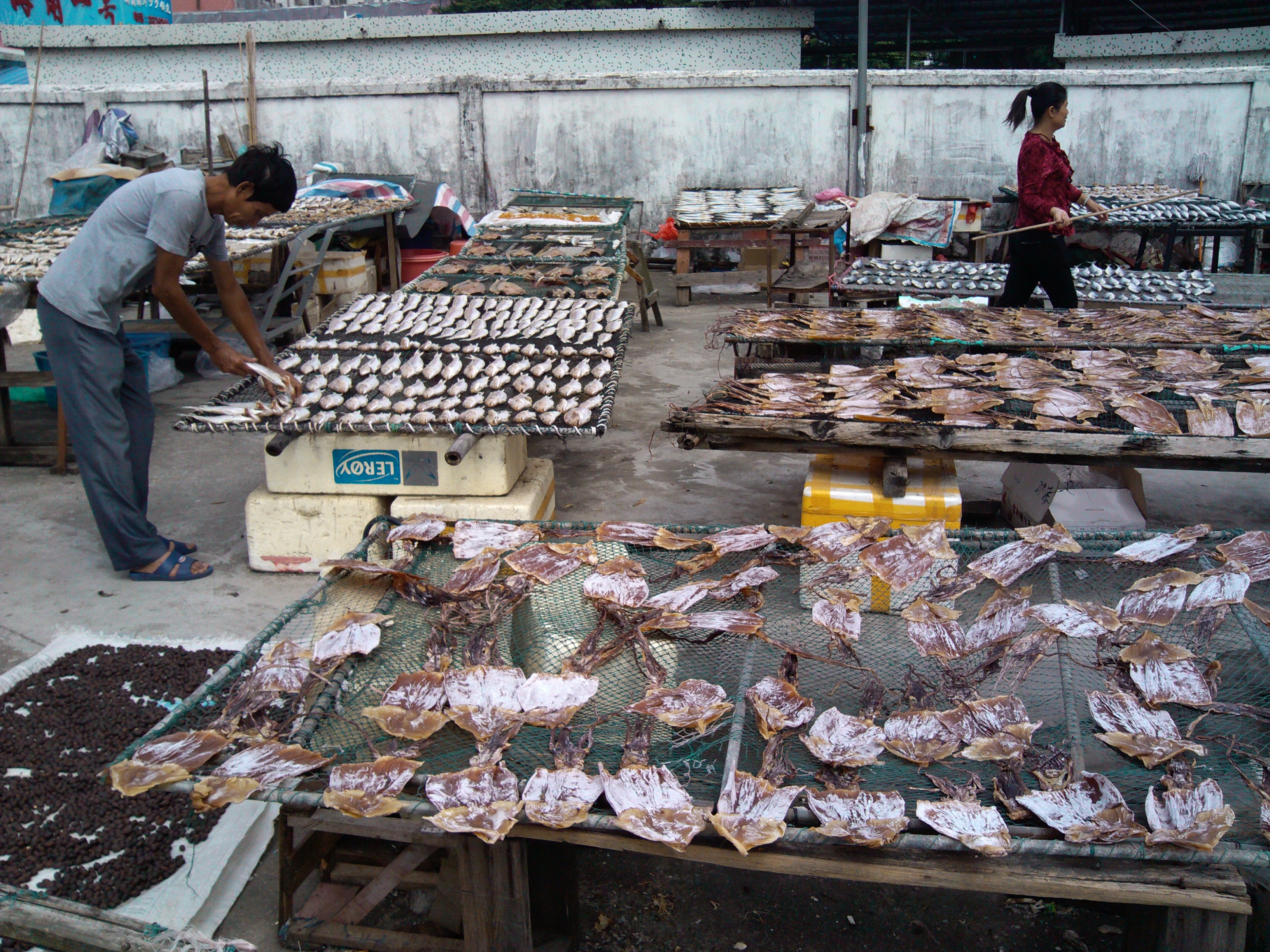 珠海海鲜游,珠海澳门环岛游时间表