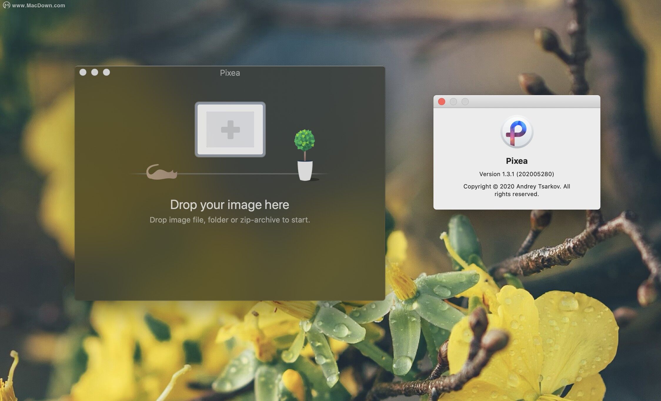 mac比较好用的看图软件,mac支持对比的看图软件