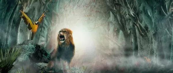 你是几月生的就代表你是什么动物,出生日期决定你是什么动物