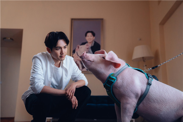 2019年最后一天写给最爱的人,2019年最后一天祝福你