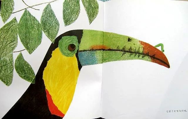 超级干货书单,超级干货视频识字