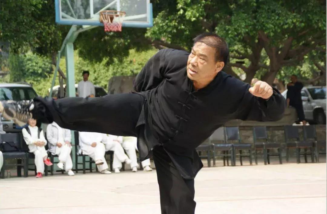 南拳的特点,南拳有什么流派