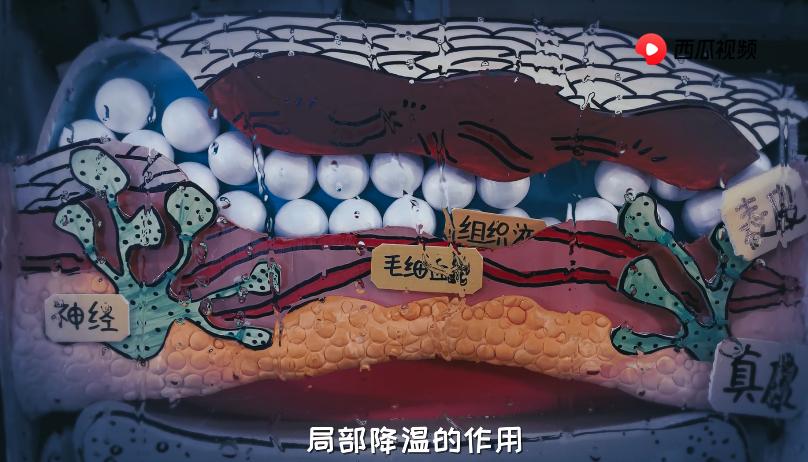 烫伤不小心把水泡戳破了怎么办,皮肤被烫伤起的水泡可以戳破吗