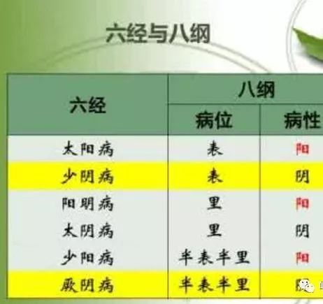 带你学会六经（太阳、阳明、少阳、太阴、少阴、厥阴），简单好学