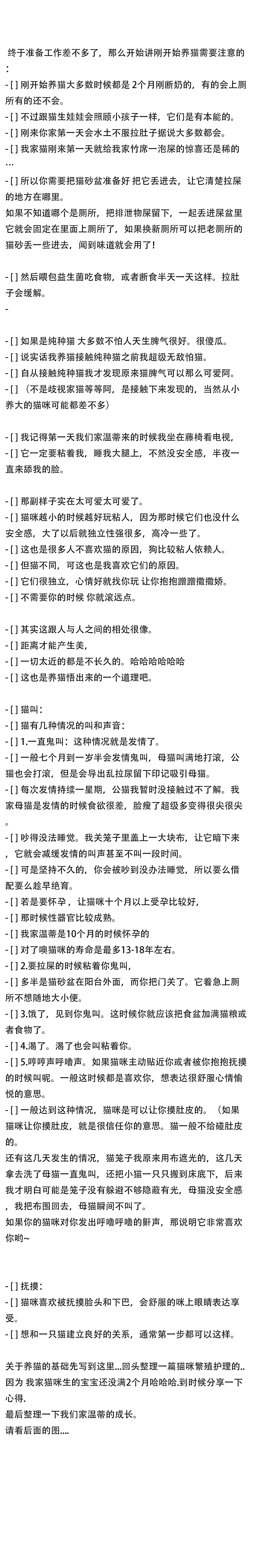 养猫干货方法与技巧,养猫干货视频教程全集