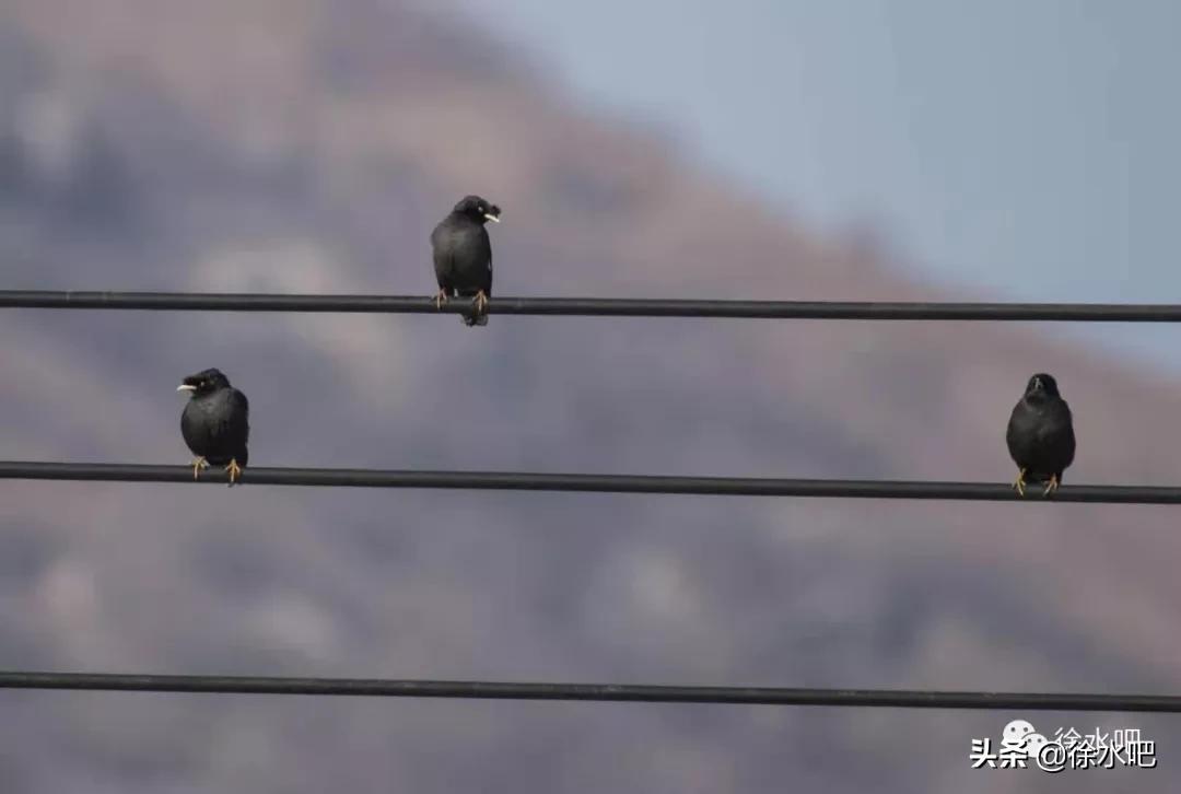 「徐水映像」换个角度看保定徐水,美
