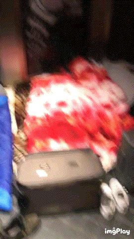 韩国代购刷货团队,代购团队刷货