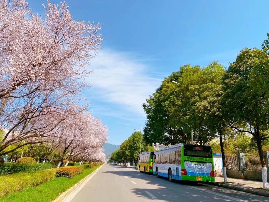 雪峰未来的发展,广元雪峰发展前景