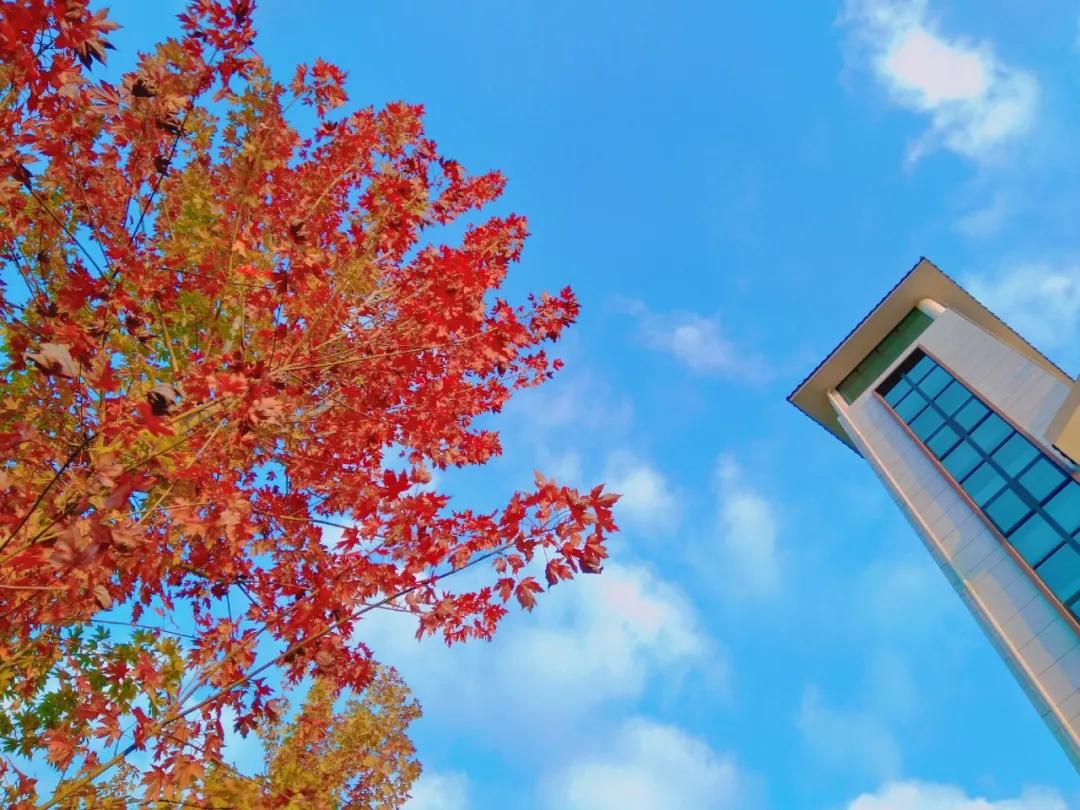 德化九仙山现场购票门票多少元,泉州德化九仙山风景区优惠团购