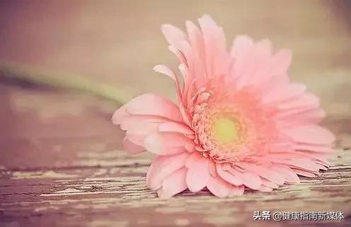 超实用肛肠保健操,专治肛肠病的保健操