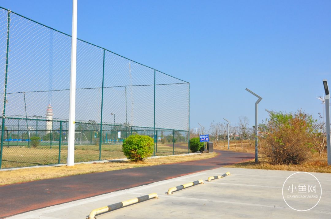 鬼城or未来可期？我们走进漳州港，发现“接盘侠”的各种悲喜交加