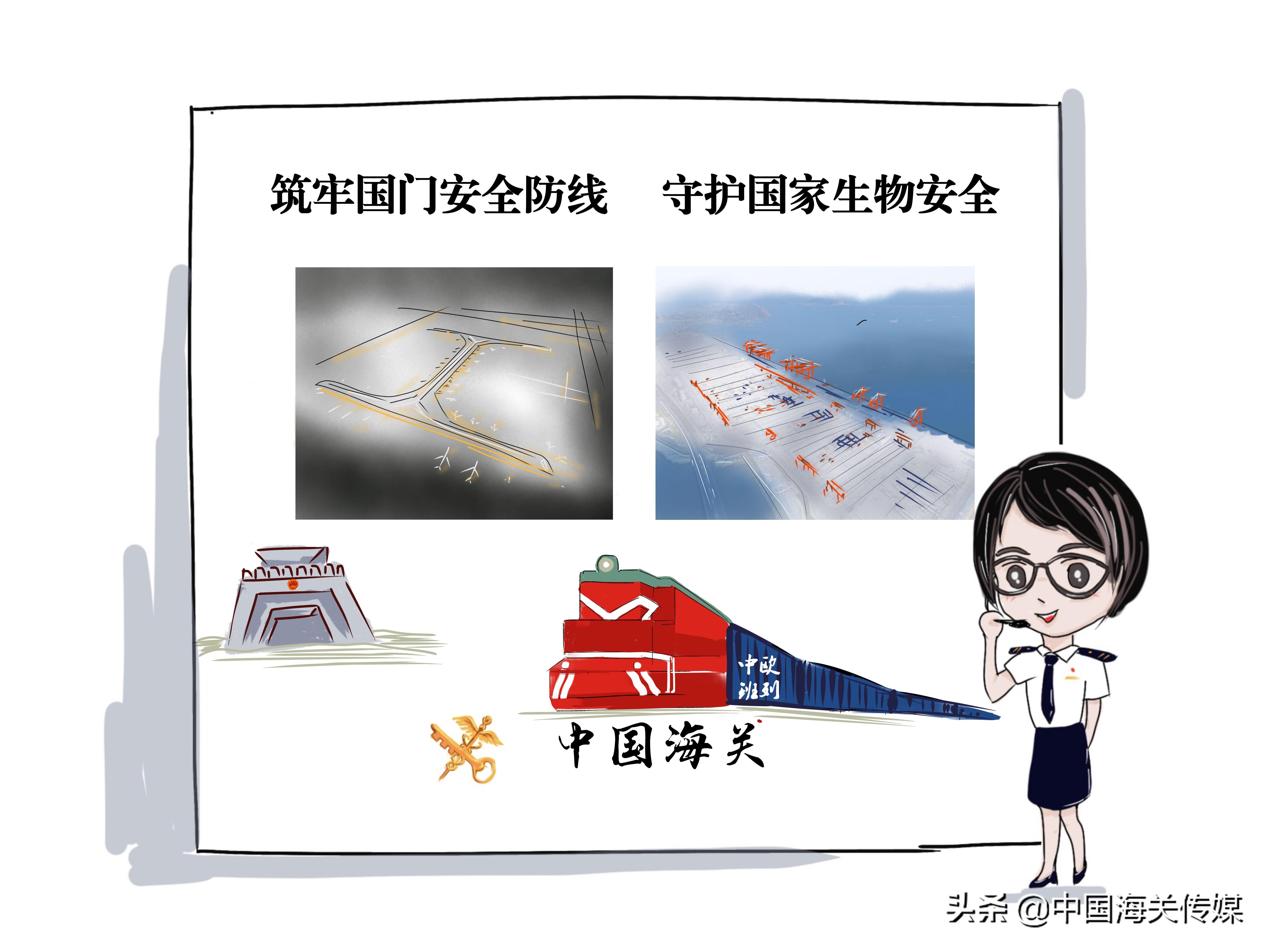 婕瘽鍎跨瀹夊叏,鍥介棬鐢熺墿瀹夊叏鍔ㄦ极瑙嗛