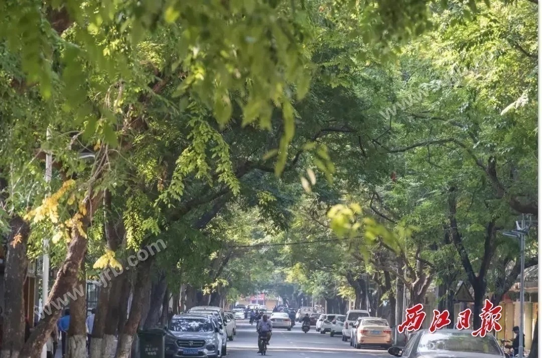 肇庆好逛的街,骑楼街肇庆一条街