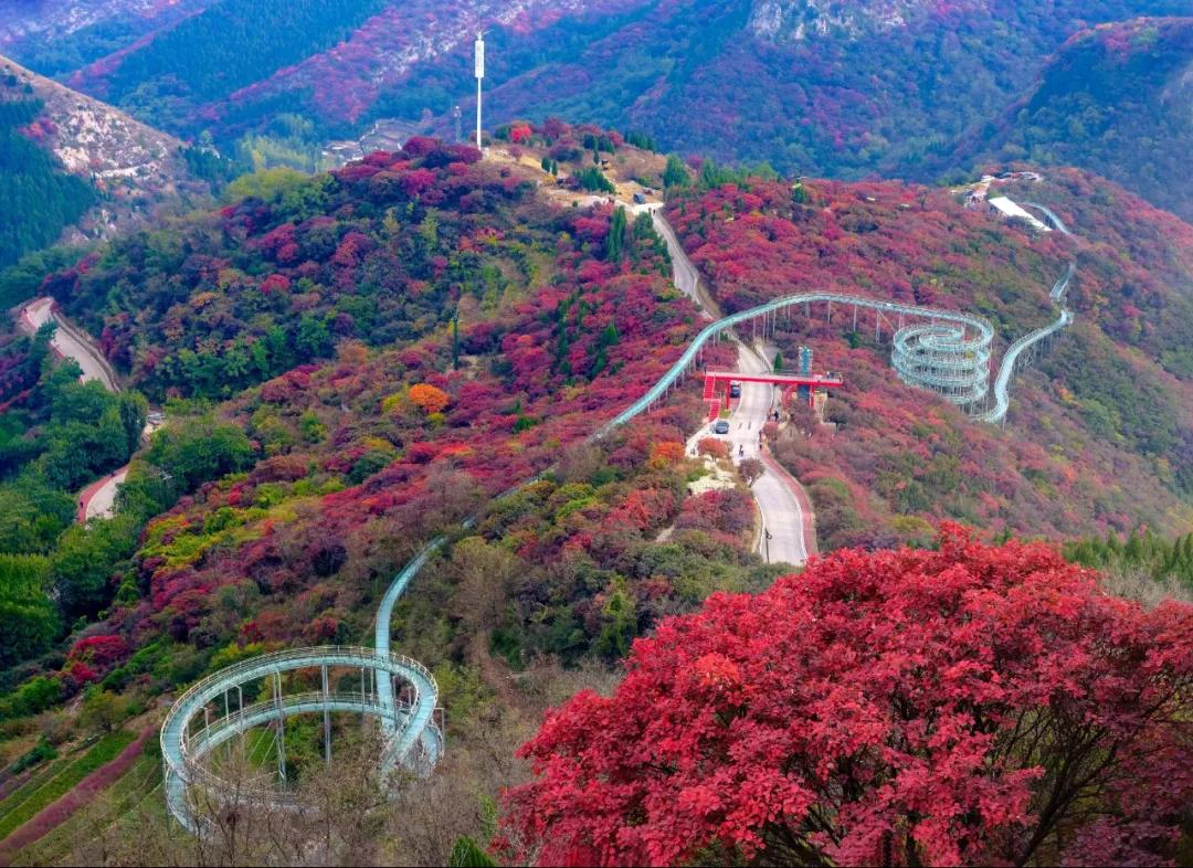 打造地方特色文旅项目,重磅打造的文旅项目