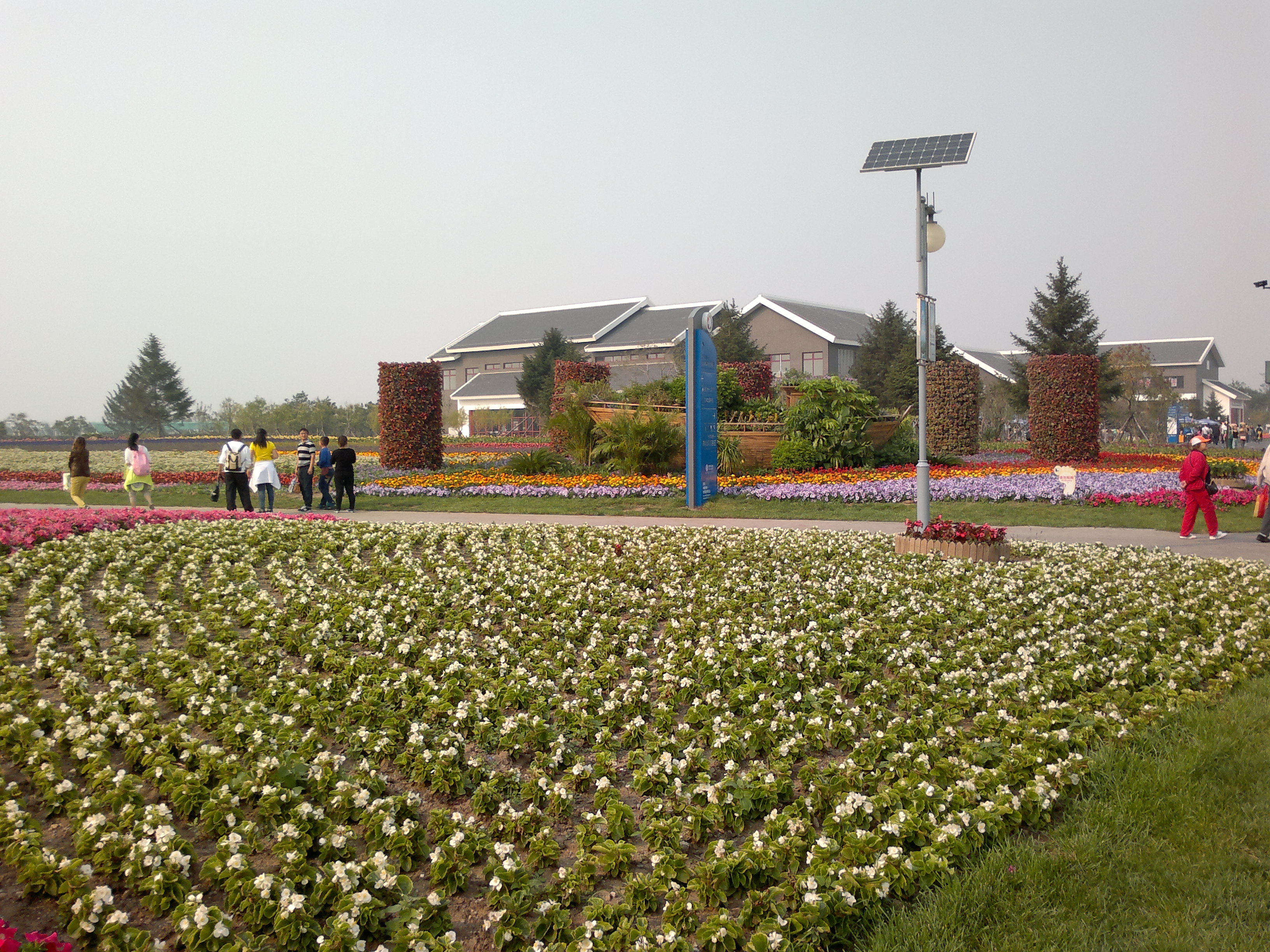 锦州世博园最好的地方,锦州世博园最佳游玩时间