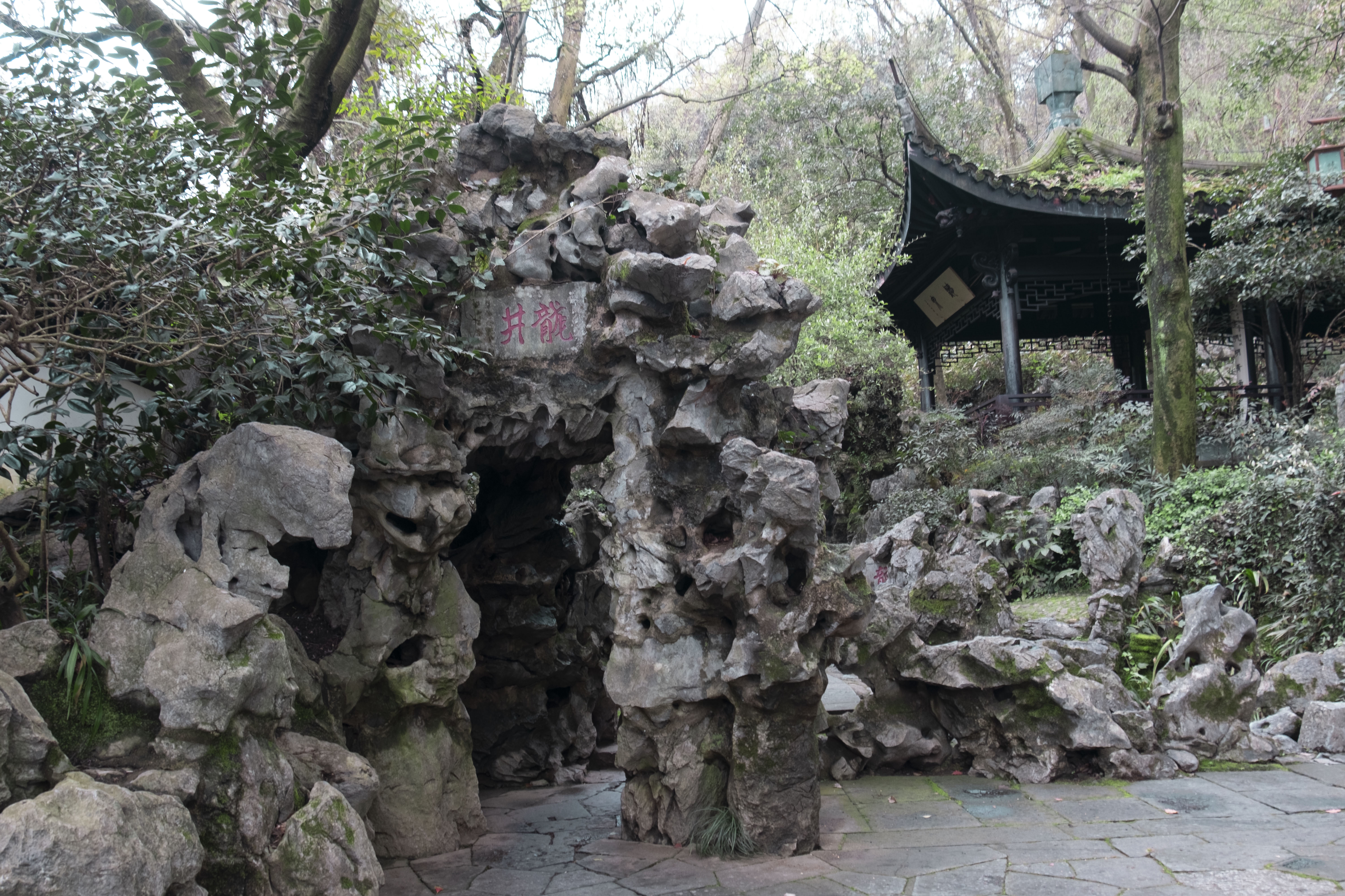 西湖龙井春茶季,龙井茶西湖明前春茶