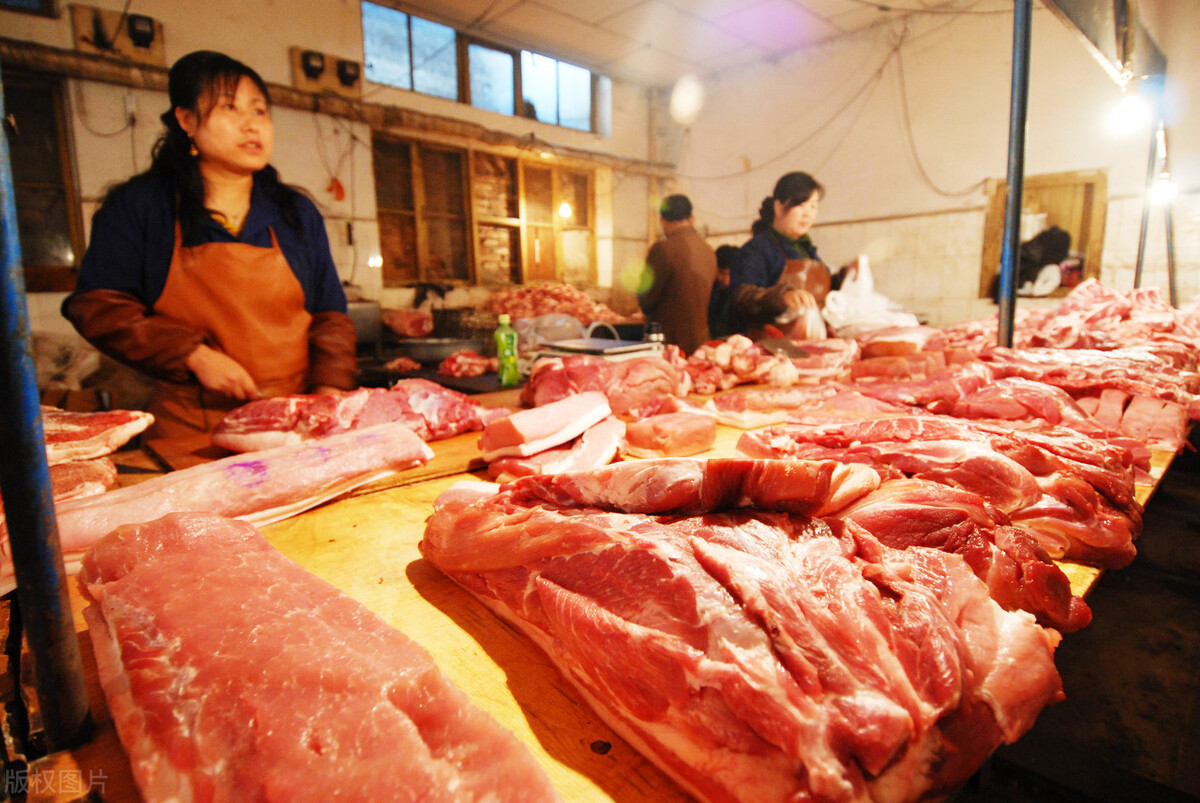 三元标猪4.7元，小猪百元5头，提前两周公布收储计划，有何猫腻？